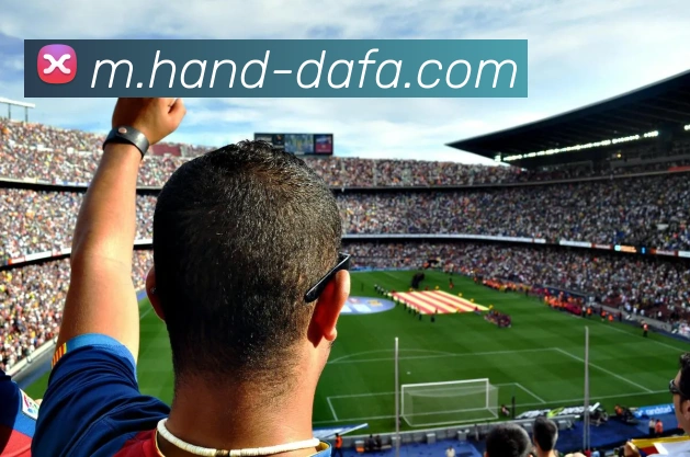 多媒体互动体验